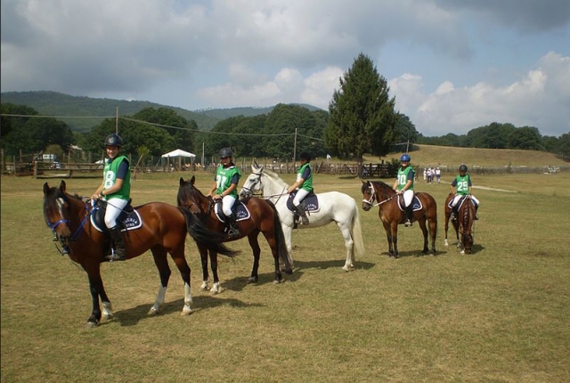 Preparación para carreras de caballos 